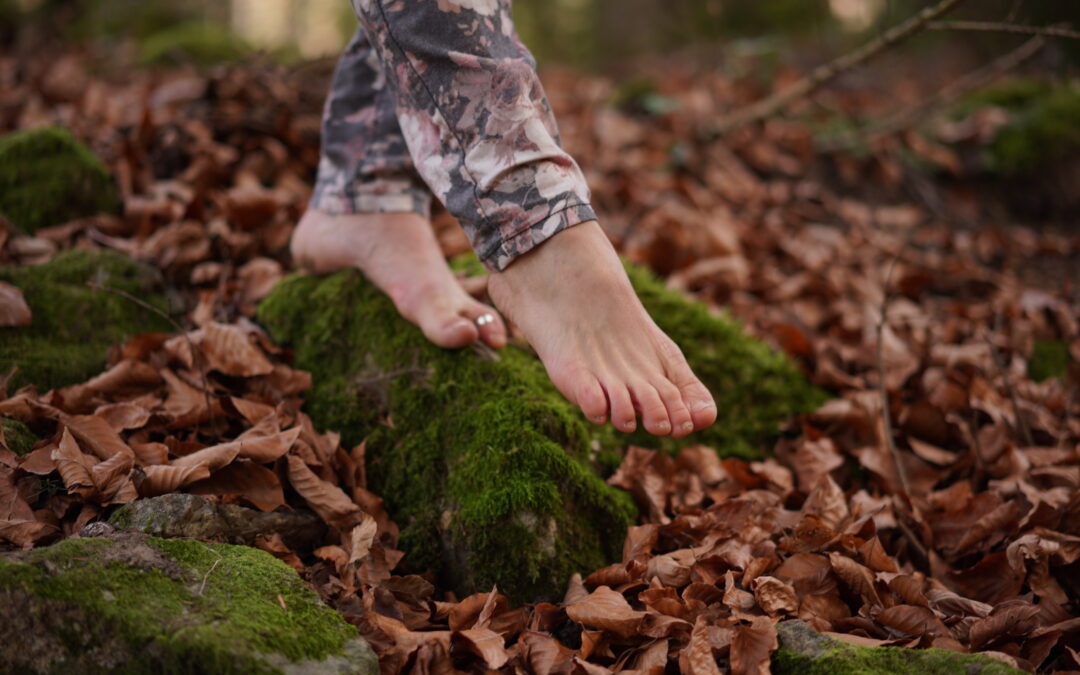 Le yoga nomade en forêt de Saou (26) de avril à novembre